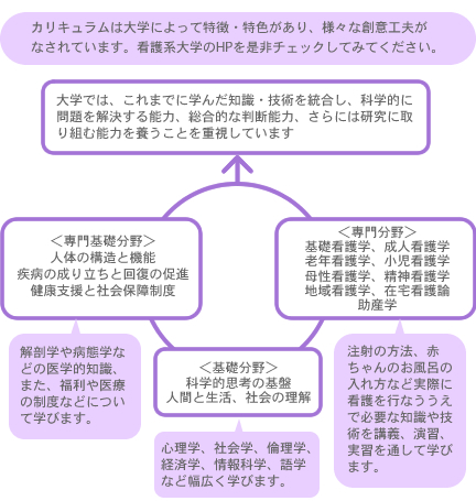 看護系大学では何を勉強するの？